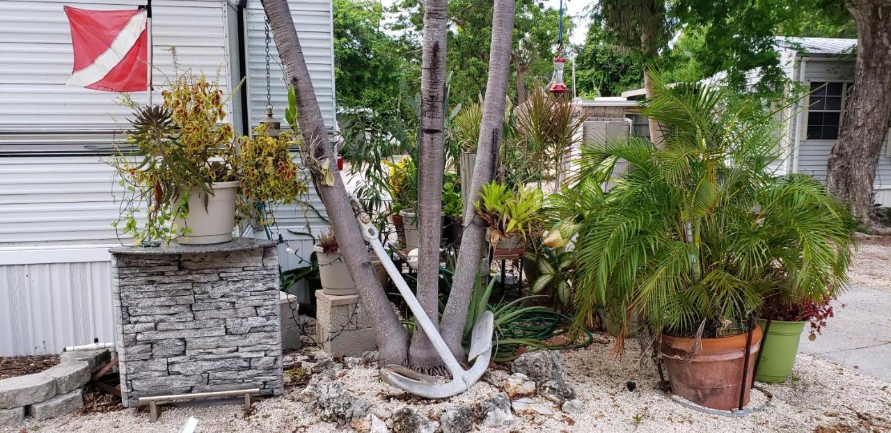Hotel Tiny House Rv, Kayak Cayo Largo Exterior foto